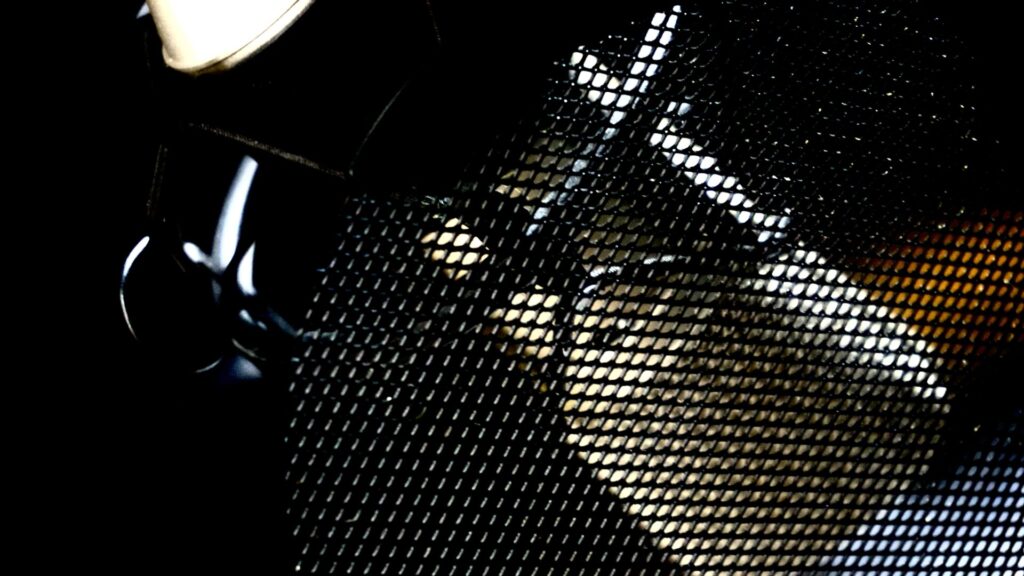 bee-music03