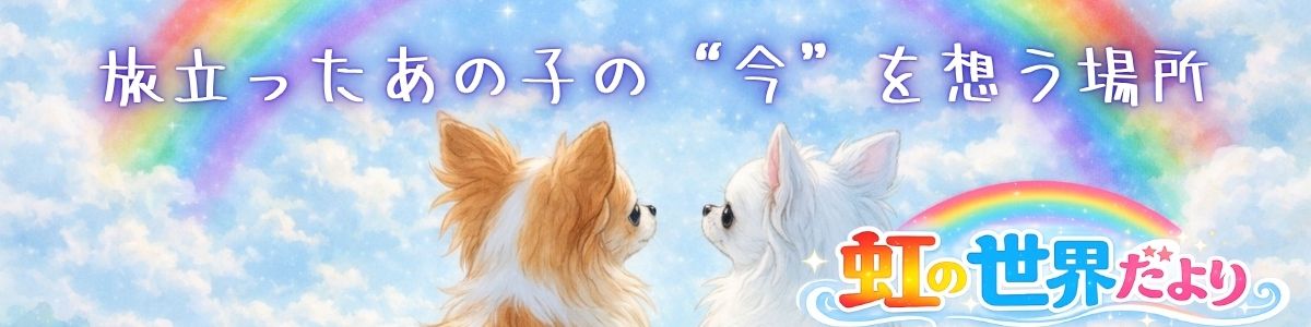 虹の世界だより